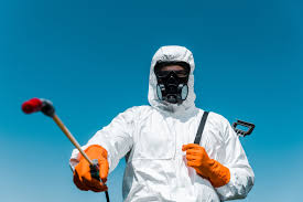 Best Organic or Eco-Friendly Pest Control  in Julian, CA